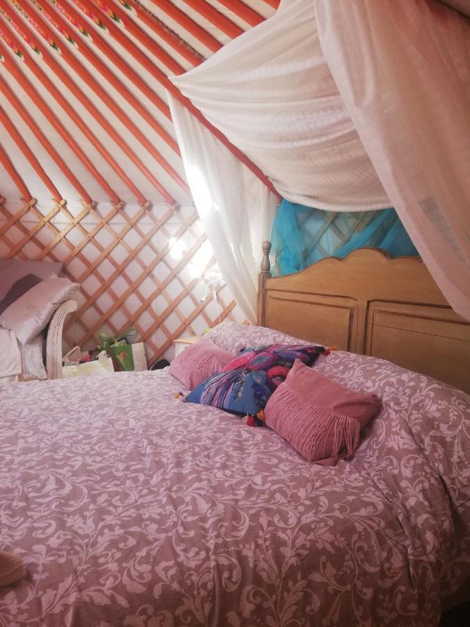 فندق Yurta De Arico Arico Viejo المظهر الخارجي الصورة