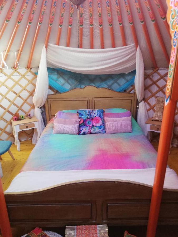 فندق Yurta De Arico Arico Viejo المظهر الخارجي الصورة